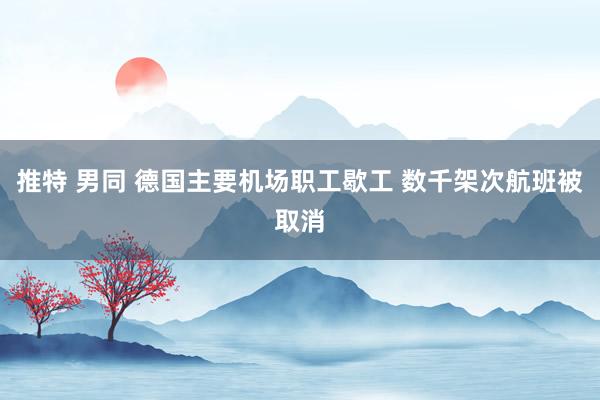 推特 男同 德国主要机场职工歇工 数千架次航班被取消
