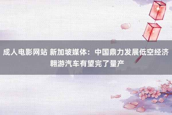 成人电影网站 新加坡媒体：中国鼎力发展低空经济 翱游汽车有望完了量产