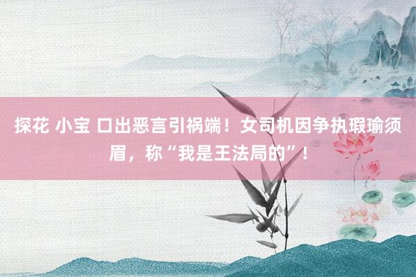 探花 小宝 口出恶言引祸端！女司机因争执瑕瑜须眉，称“我是王法局的”！