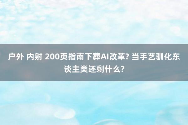 户外 内射 200页指南下葬AI改革? 当手艺驯化东谈主类还剩什么?