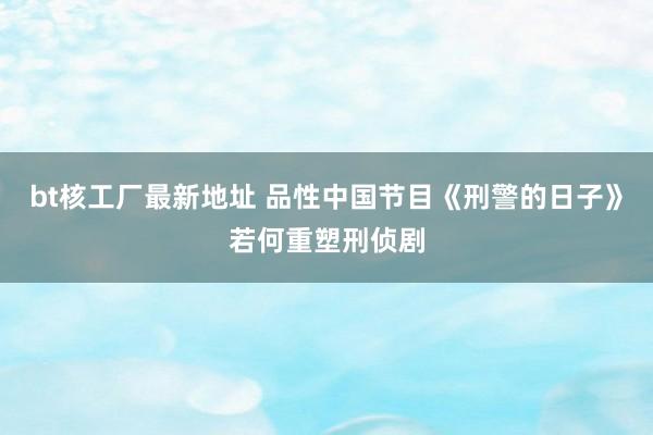 bt核工厂最新地址 品性中国节目《刑警的日子》若何重塑刑侦剧