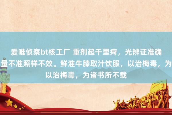 爰唯侦察bt核工厂 重剂起千里疴，光辨证准确用方对，药量不准照样不效。鲜淮牛膝取汁饮服，以治梅毒，为诸书所不载
